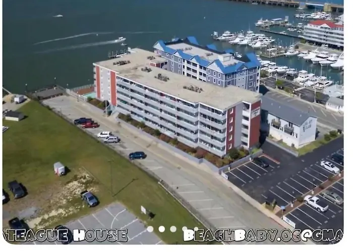 Apartment Assateague House #203 Oc